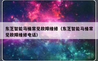 东芝智能马桶常见故障维修（东芝智能马桶常见故障维修电话）