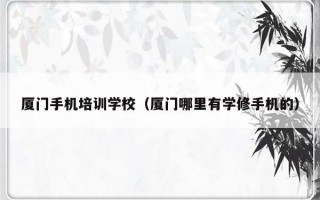 厦门手机培训学校（厦门哪里有学修手机的）