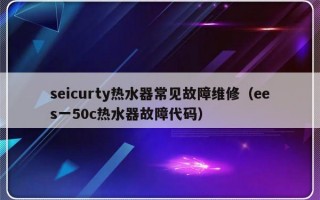 seicurty热水器常见故障维修（ees一50c热水器故障代码）