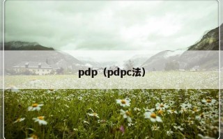 pdp（pdpc法）