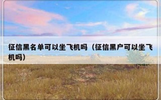 征信黑名单可以坐飞机吗（征信黑户可以坐飞机吗）