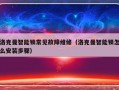 洛克曼智能锁常见故障维修（洛克曼智能锁怎么安装步骤）