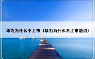 华为为什么不上市（华为为什么不上市融资）