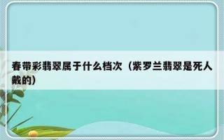 春带彩翡翠属于什么档次（紫罗兰翡翠是死人戴的）