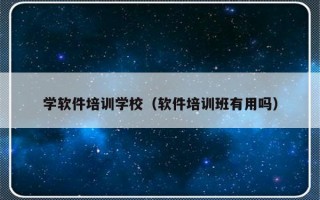 学软件培训学校（软件培训班有用吗）