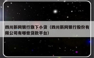 四川新网银行旗下小贷（四川新网银行股份有限公司有哪些贷款平台）