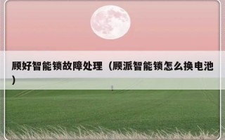 顾好智能锁故障处理（顾派智能锁怎么换电池）