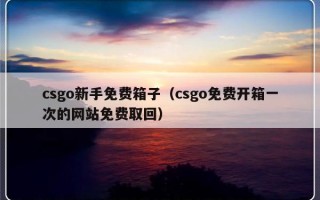 csgo新手免费箱子（csgo免费开箱一次的网站免费取回）