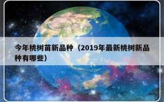 今年桃树苗新品种（2019年最新桃树新品种有哪些）