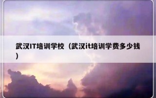 武汉IT培训学校（武汉it培训学费多少钱）