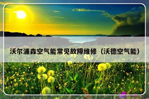 沃尔浦森空气能常见故障维修（沃德空气能）-第1张图片-乐修号