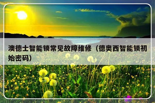 澳德士智能锁常见故障维修（德奥西智能锁初始密码）-第1张图片-乐修号