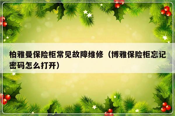 柏雅曼保险柜常见故障维修（博雅保险柜忘记密码怎么打开）-第1张图片-乐修号