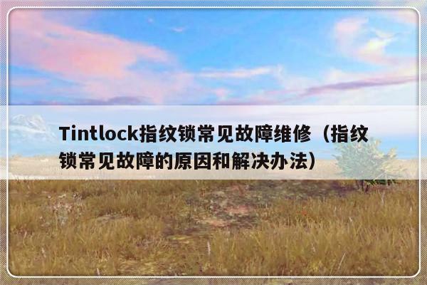 Tintlock指纹锁常见故障维修（指纹锁常见故障的原因和解决办法）-第1张图片-乐修号