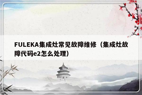 FULEKA集成灶常见故障维修（集成灶故障代码e2怎么处理）-第1张图片-乐修号