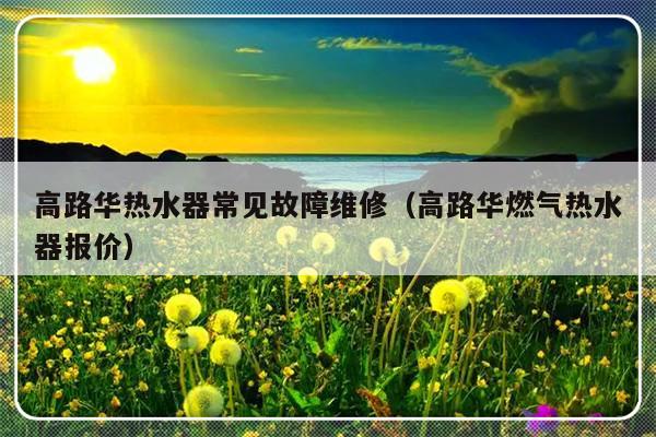 高路华热水器常见故障维修（高路华燃气热水器报价）-第1张图片-乐修号