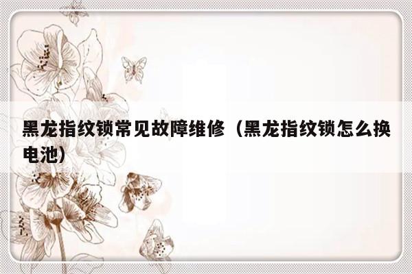 黑龙指纹锁常见故障维修（黑龙指纹锁怎么换电池）-第1张图片-乐修号