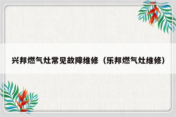 兴邦燃气灶常见故障维修（乐邦燃气灶维修）-第1张图片-乐修号