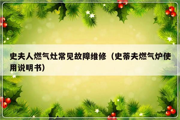 史夫人燃气灶常见故障维修（史蒂夫燃气炉使用说明书）-第1张图片-乐修号