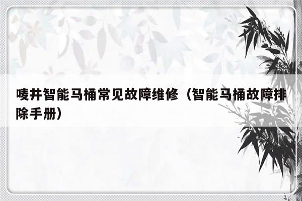 唛井智能马桶常见故障维修（智能马桶故障排除手册）-第1张图片-乐修号