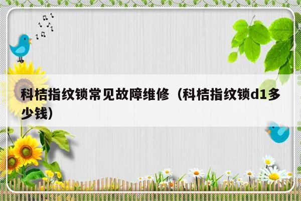 科桔指纹锁常见故障维修（科桔指纹锁d1多少钱）-第1张图片-乐修号