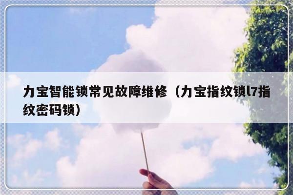 力宝智能锁常见故障维修（力宝指纹锁l7指纹密码锁）-第1张图片-乐修号