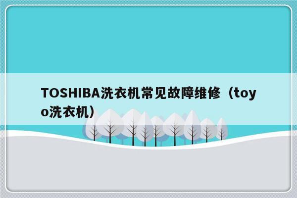 TOSHIBA洗衣机常见故障维修（toyo洗衣机）-第1张图片-乐修号