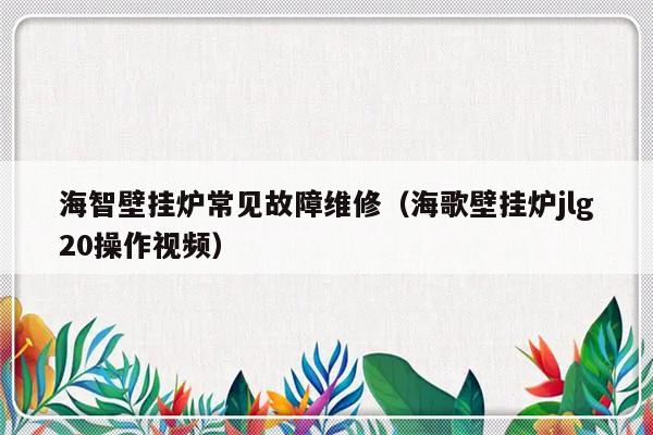 海智壁挂炉常见故障维修（海歌壁挂炉jlg20操作视频）-第1张图片-乐修号