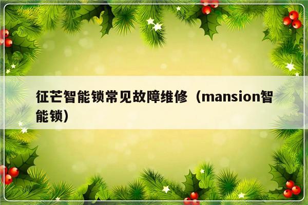 征芒智能锁常见故障维修（mansion智能锁）-第1张图片-乐修号