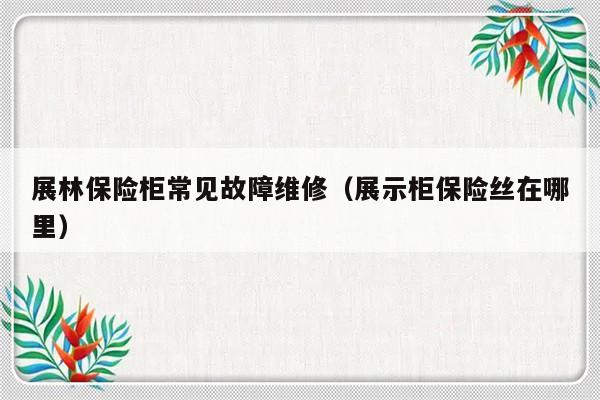 展林保险柜常见故障维修（展示柜保险丝在哪里）-第1张图片-乐修号