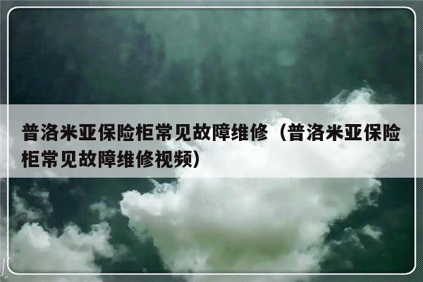 普洛米亚保险柜常见故障维修（普洛米亚保险柜常见故障维修视频）-第1张图片-乐修号