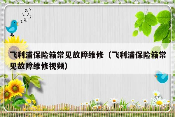 飞利浦保险箱常见故障维修（飞利浦保险箱常见故障维修视频）-第1张图片-乐修号