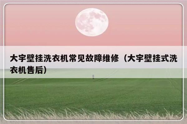 大宇壁挂洗衣机常见故障维修（大宇壁挂式洗衣机售后）-第1张图片-乐修号