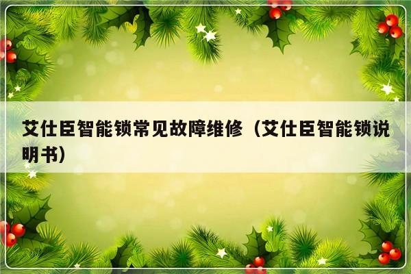 艾仕臣智能锁常见故障维修（艾仕臣智能锁说明书）-第1张图片-乐修号