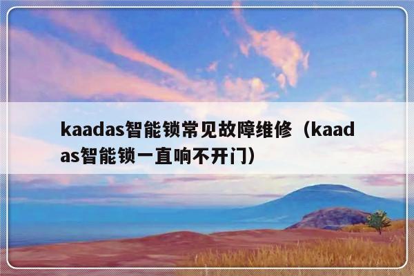 kaadas智能锁常见故障维修（kaadas智能锁一直响不开门）-第1张图片-乐修号