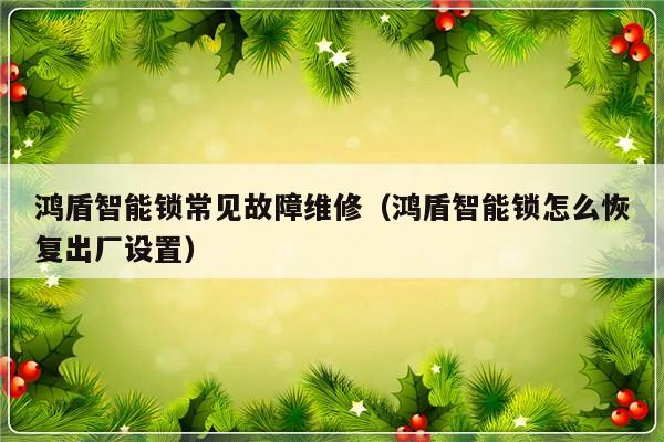 鸿盾智能锁常见故障维修（鸿盾智能锁怎么恢复出厂设置）-第1张图片-乐修号