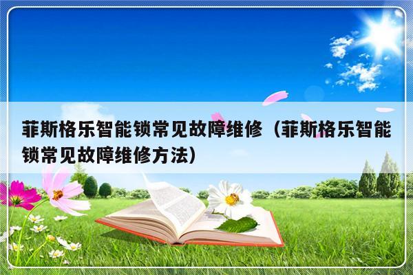 菲斯格乐智能锁常见故障维修（菲斯格乐智能锁常见故障维修方法）-第1张图片-乐修号