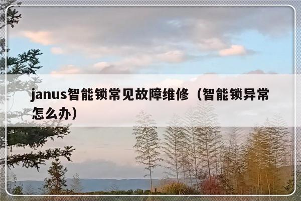 janus智能锁常见故障维修（智能锁异常怎么办）-第1张图片-乐修号