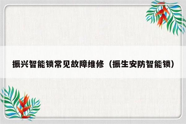 振兴智能锁常见故障维修（振生安防智能锁）-第1张图片-乐修号