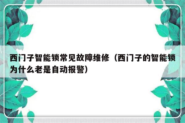 西门子智能锁常见故障维修（西门子的智能锁为什么老是自动报警）-第1张图片-乐修号