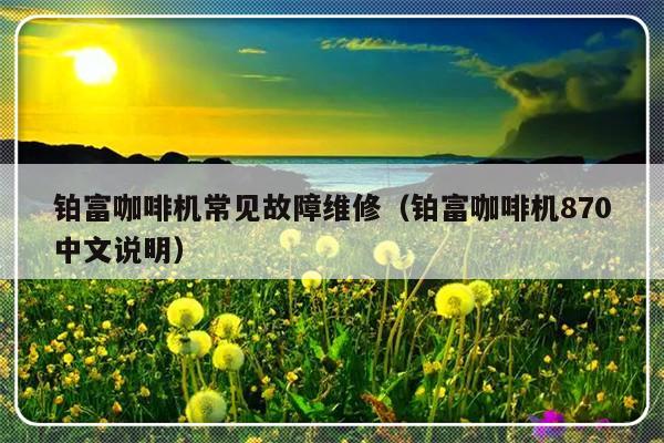 铂富咖啡机常见故障维修（铂富咖啡机870中文说明）-第1张图片-乐修号