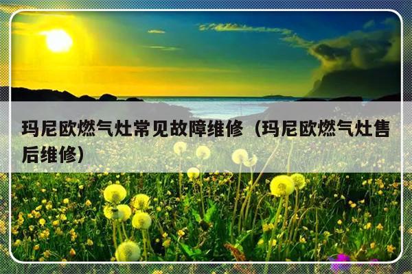 玛尼欧燃气灶常见故障维修（玛尼欧燃气灶售后维修）-第1张图片-乐修号