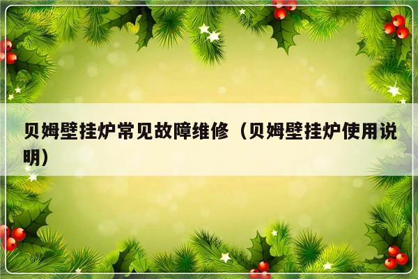 贝姆壁挂炉常见故障维修（贝姆壁挂炉使用说明）-第1张图片-乐修号