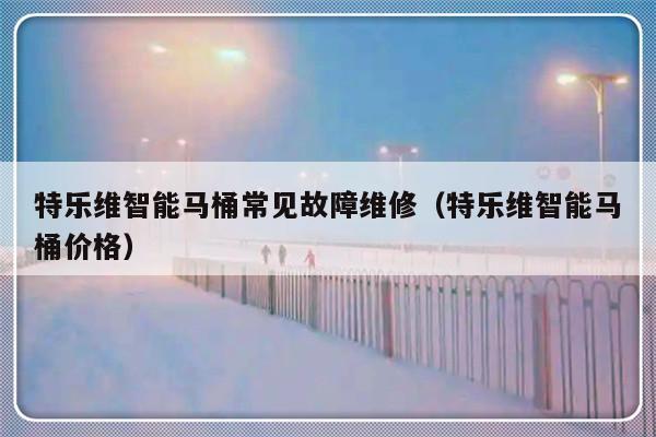 特乐维智能马桶常见故障维修（特乐维智能马桶价格）-第1张图片-乐修号