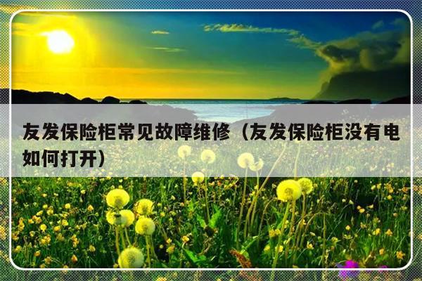 友发保险柜常见故障维修（友发保险柜没有电如何打开）-第1张图片-乐修号