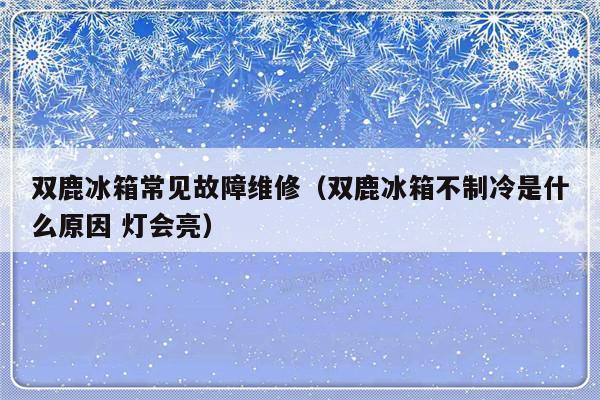 双鹿冰箱常见故障维修（双鹿冰箱不制冷是什么原因 灯会亮）-第1张图片-乐修号