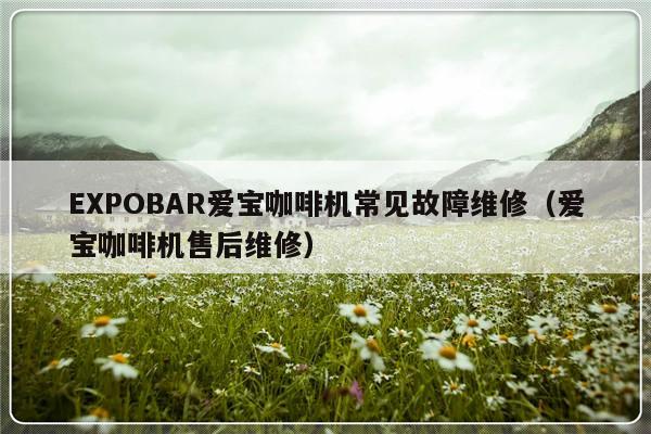 EXPOBAR爱宝咖啡机常见故障维修（爱宝咖啡机售后维修）-第1张图片-乐修号