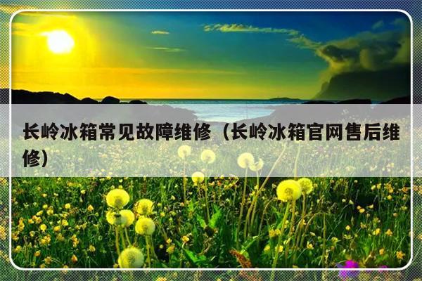 长岭冰箱常见故障维修（长岭冰箱官网售后维修）-第1张图片-乐修号