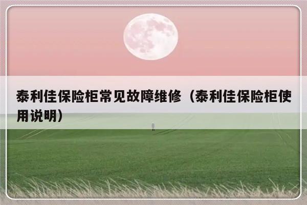 泰利佳保险柜常见故障维修（泰利佳保险柜使用说明）-第1张图片-乐修号