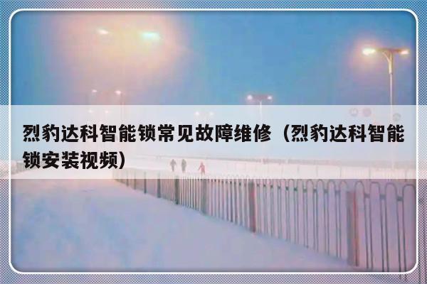 烈豹达科智能锁常见故障维修（烈豹达科智能锁安装视频）-第1张图片-乐修号